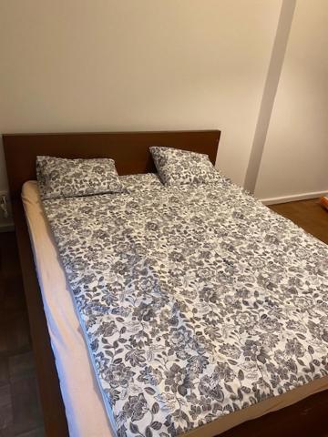 Large 3 Bedroom Family Apartment Close To The River Prag Dış mekan fotoğraf